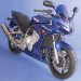 Yamaha FZS1000 Fazer - 1/4 Radiator Panels
