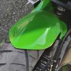 Kawasaki Ninja 300R - Rear Hugger (GRP)