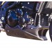 Triumph Speed Triple 1050 2005» - Standard Belly Pan