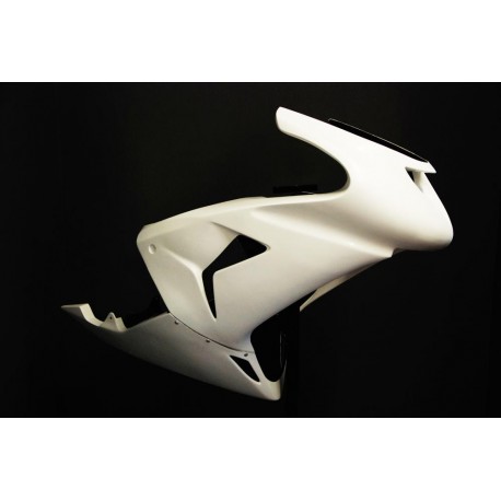 Kawasaki ZX-10RR 2006-07 - Full Race Fairing