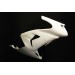 Kawasaki ZX-10RR 2006-07 - Full Race Fairing
