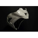 Kawasaki ZX-10RR 2011 - Full Race Fairing