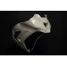 Kawasaki ZX-10RR 2011 - Full Race Fairing