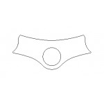 Honda CBR600FX-on /Sport 99-02 - Yoke Protector