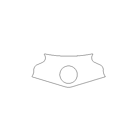 Kawasaki ZX6-R G 98-99 - Yoke Protector