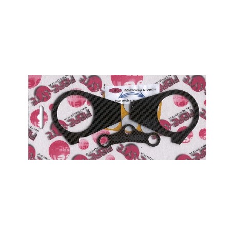 Kawasaki ZX10-RR 06-07 - Yoke Protector