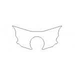Kawasaki ZX9-R B 94-97 - Yoke Protector
