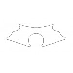 Kawasaki ZX9-R C 98-99 - Yoke Protector