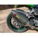 Kawasaki Ninja 300R - Rear Hugger (GRP)