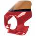 Kawasaki GPZ750-1100 Nose - Standard Screen