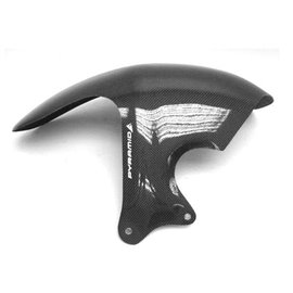 Pyramid Hugger | Carbon | BMW R850 R | R1100 R 1995-2003