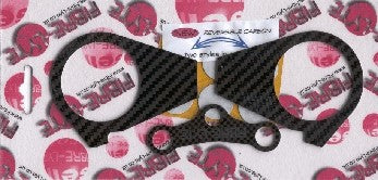 Kawasaki ZX10-RR 06-07 - Yoke Protector