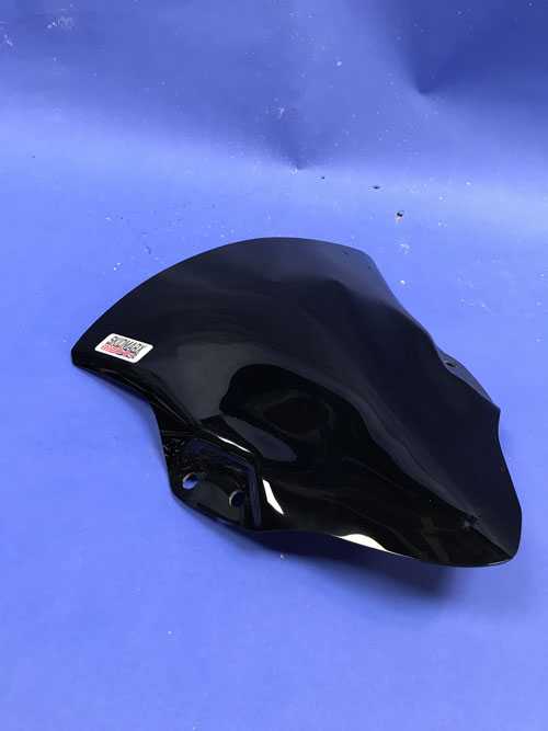 Kawasaki ninja 400 Standard Screen