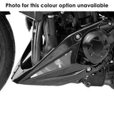 Belly Pan | Matte Black (Flat Ebony)  | Kawasaki Z 1000 2014-2015 | 2017