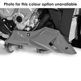Belly Pan | Standard | BMW S 1000 R 2014-2018